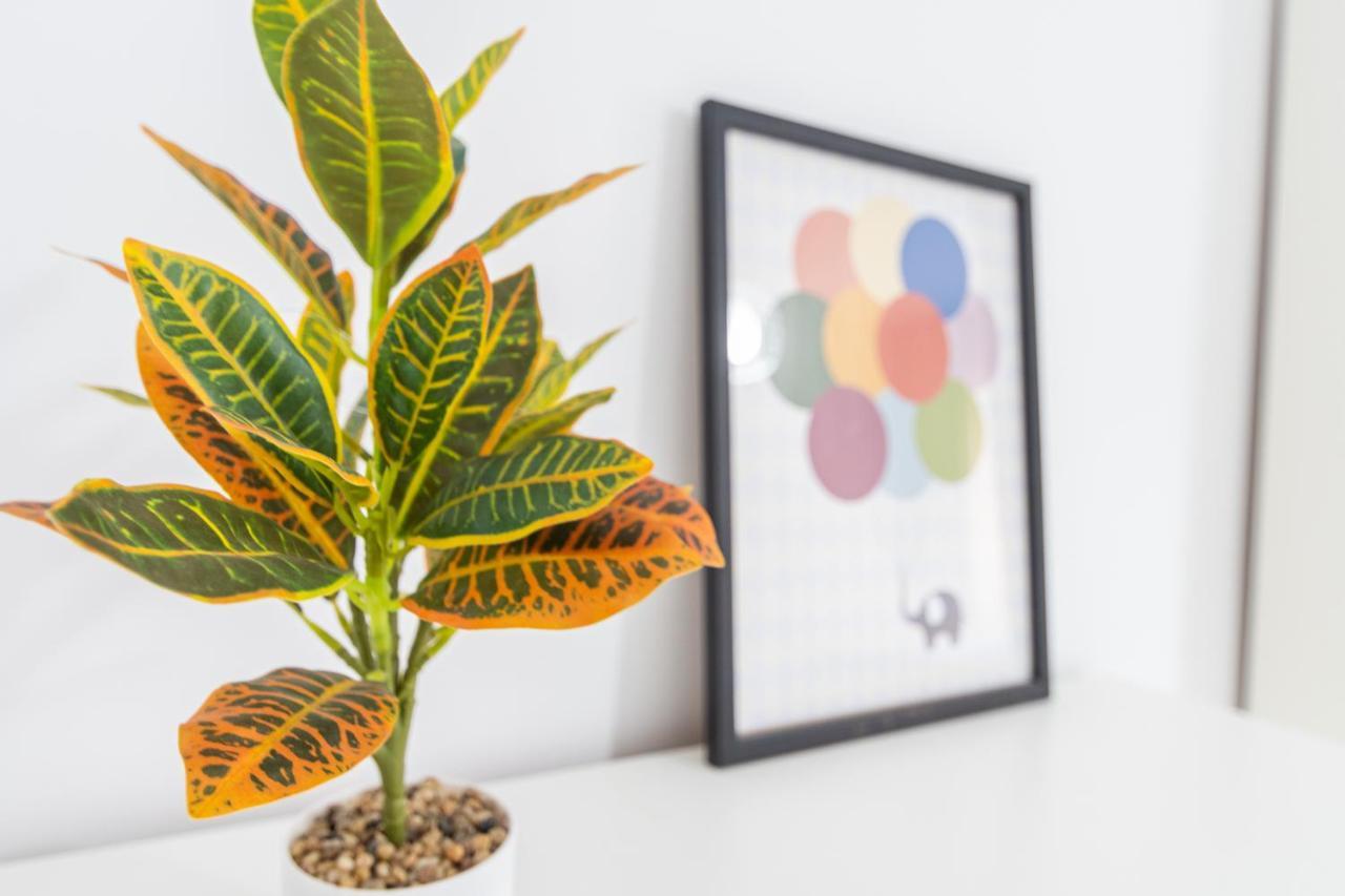 Apartamento Cadiz Be Kind Kültér fotó